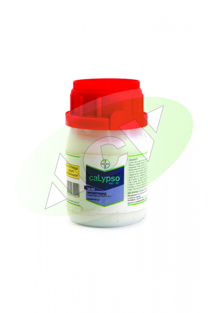 CALYPSO 50ML